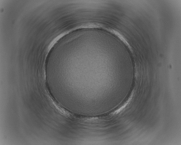 X0000071790837200607211620