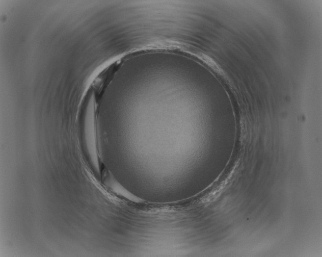 X0000071790838200607211620