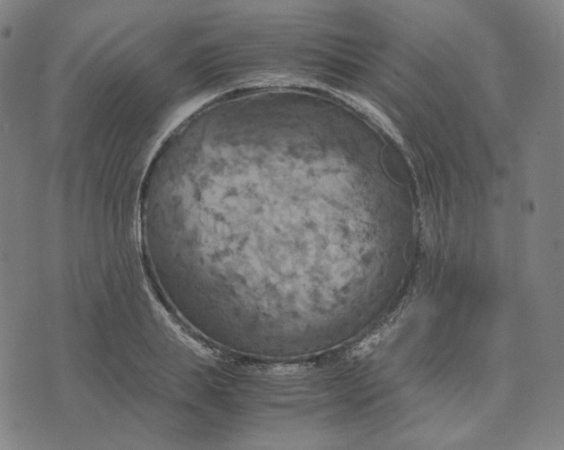 X0000071790839200607211620