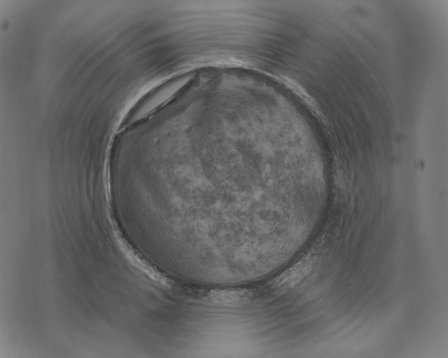 X0000071790840200607211620