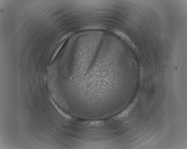 X0000071790841200607211620