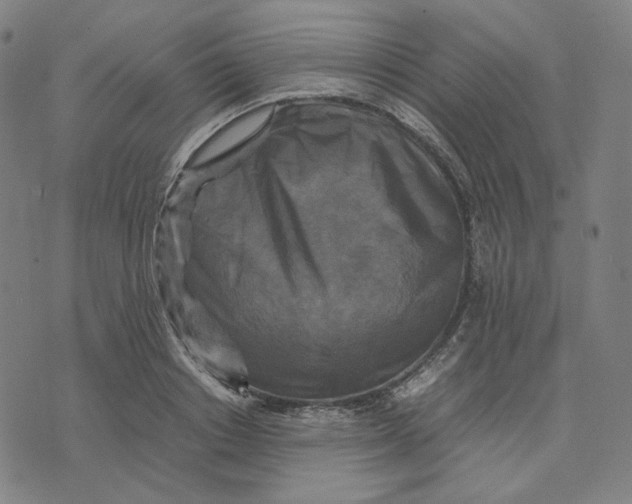 X0000071790842200607211620