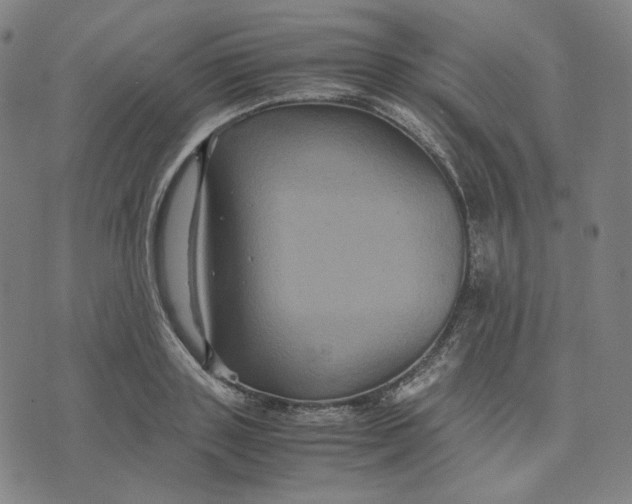 X0000071790843200607211620