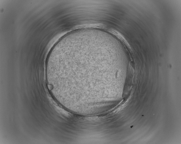 X0000071790844200607211620