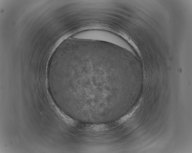 X0000071790845200607211620