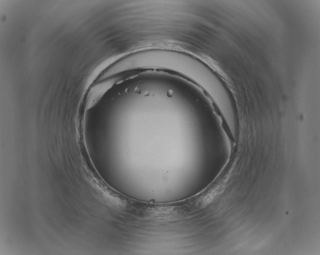 X0000071790846200607211620