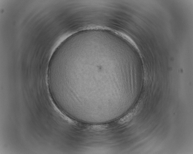 X0000071790847200607211620