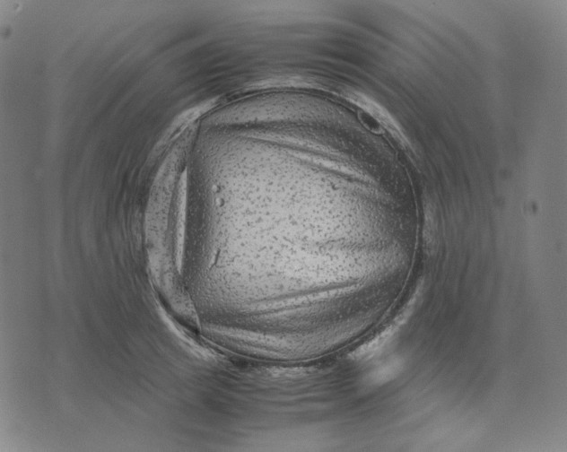 X0000071790849200607211620