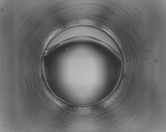 X0000071790850200607211620