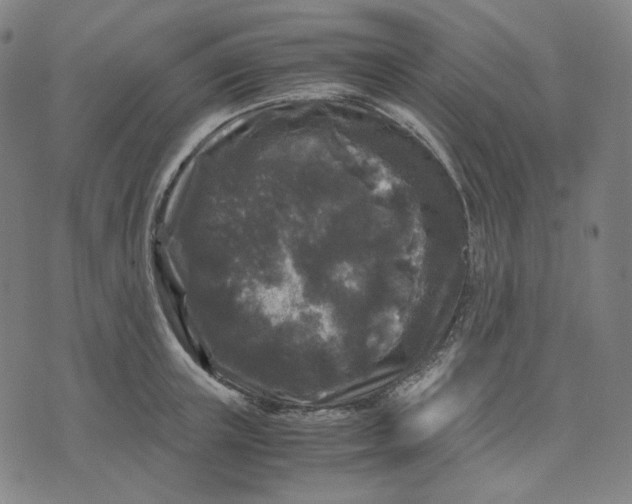 X0000071790851200607211620