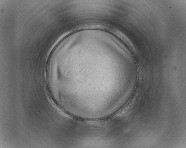 X0000071790852200607211620