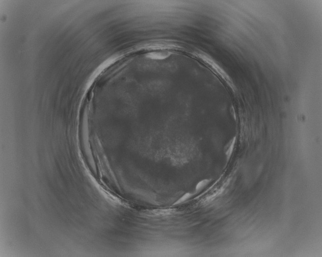 X0000071790853200607211620