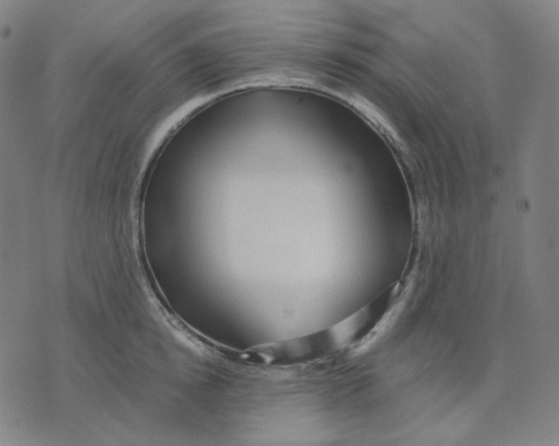 X0000071790854200607211620