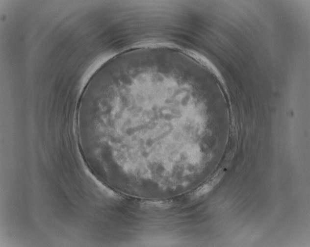 X0000071790855200607211620