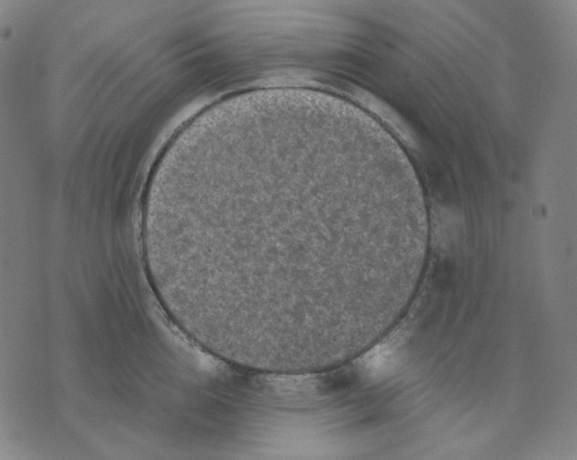 X0000071790856200607211620