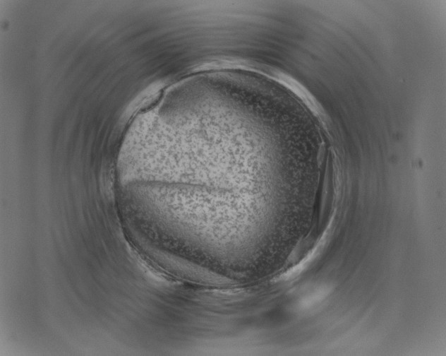 X0000071790857200607211620