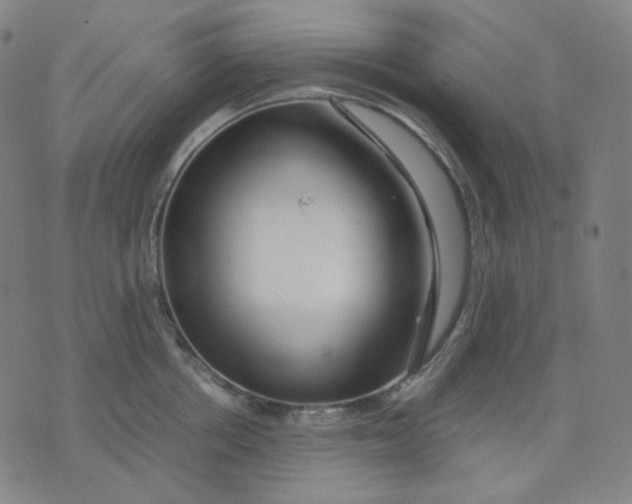 X0000071790858200607211620