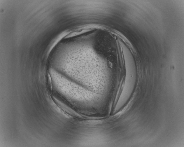 X0000071790860200607211620