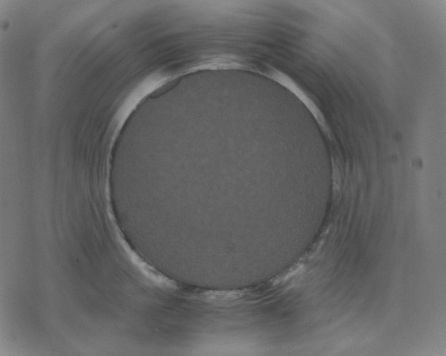 X0000071790861200607211620