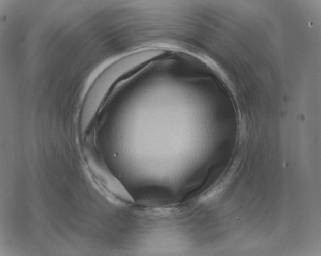 X0000071790862200607211620