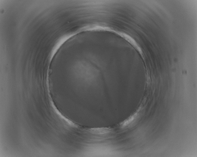 X0000071790863200607211620