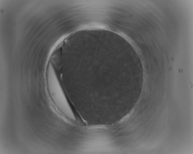 X0000071790864200607211620