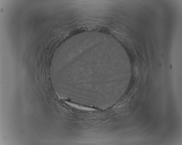 X0000071790865200607211619