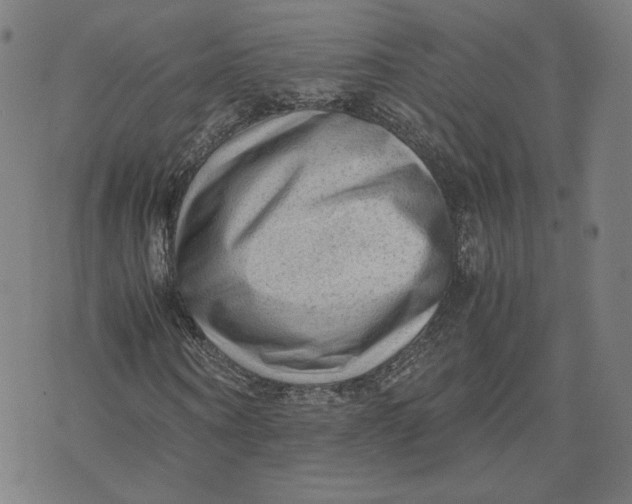 X0000071790866200607211619