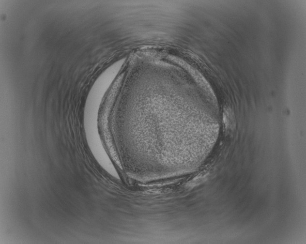 X0000071790867200607211619