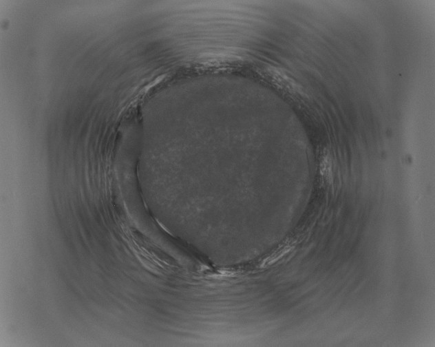 X0000071790868200607211619