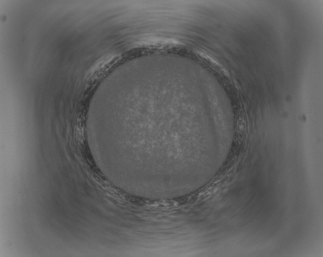 X0000071790869200607211619