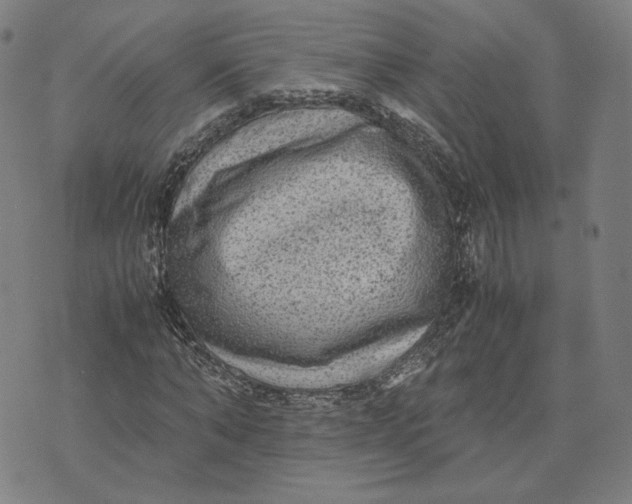 X0000071790870200607211619