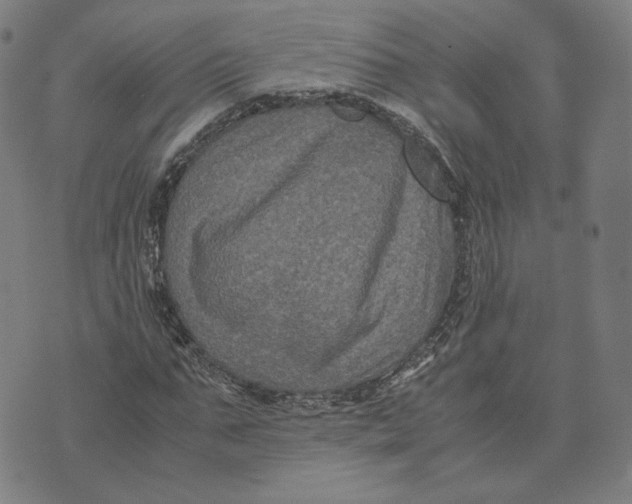 X0000071790871200607211619