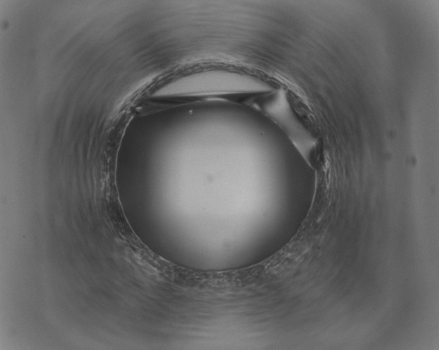 X0000071790872200607211619