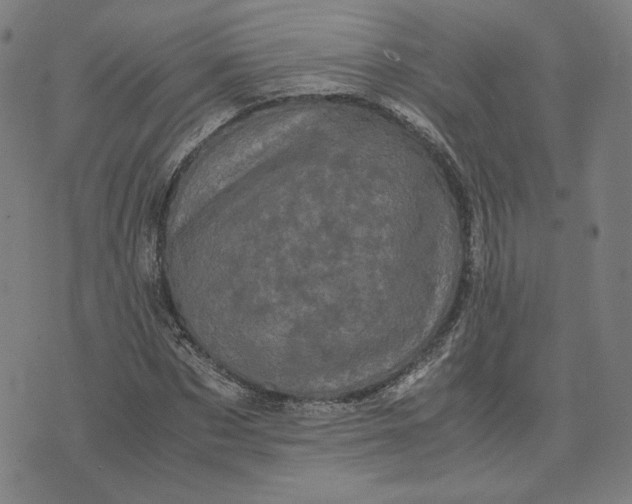 X0000071790873200607211619