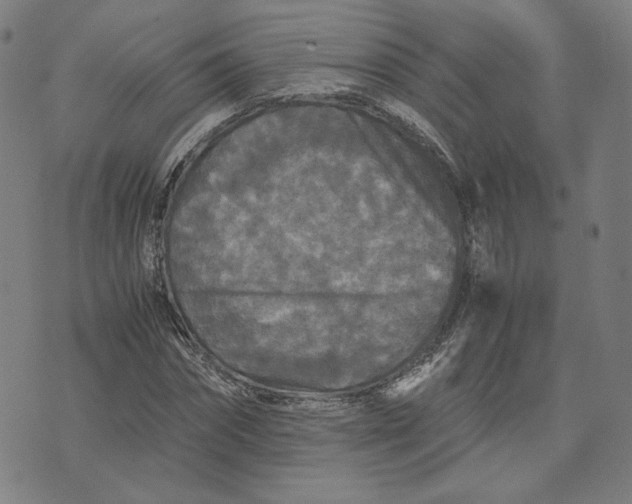 X0000071790874200607211619