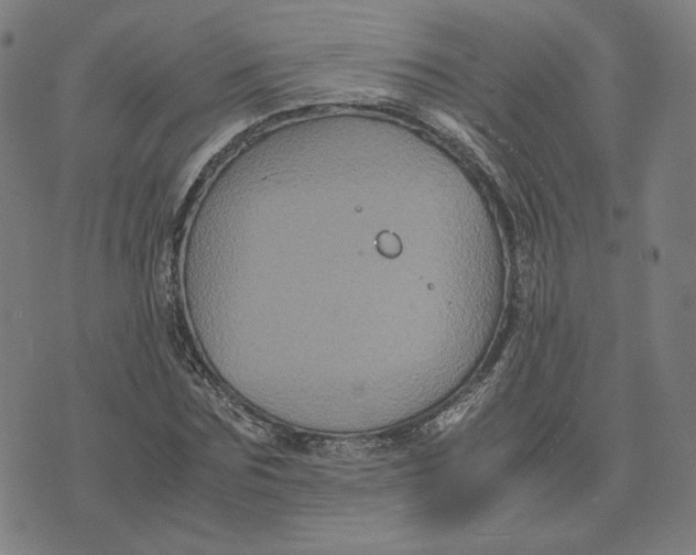 X0000071790875200607211619