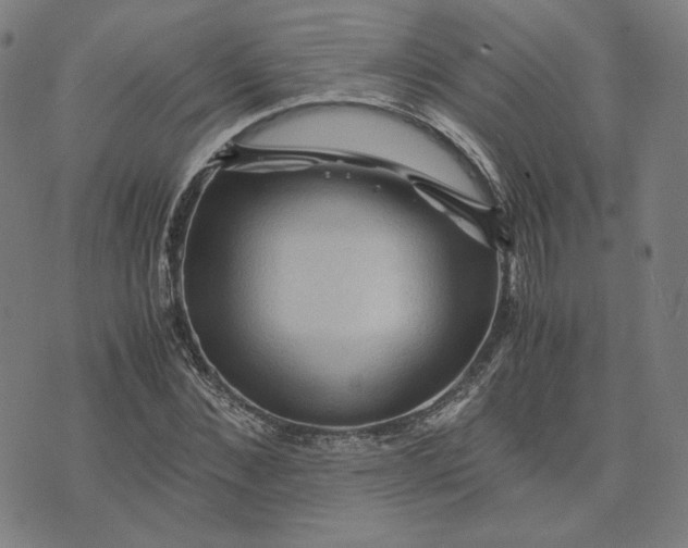 X0000071790876200607211619