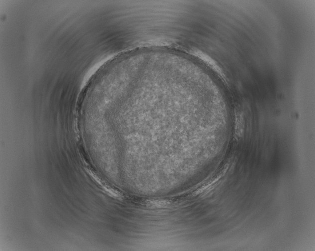 X0000071790878200607211619