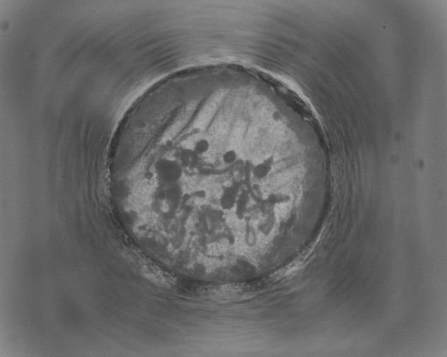 X0000071790879200607211619