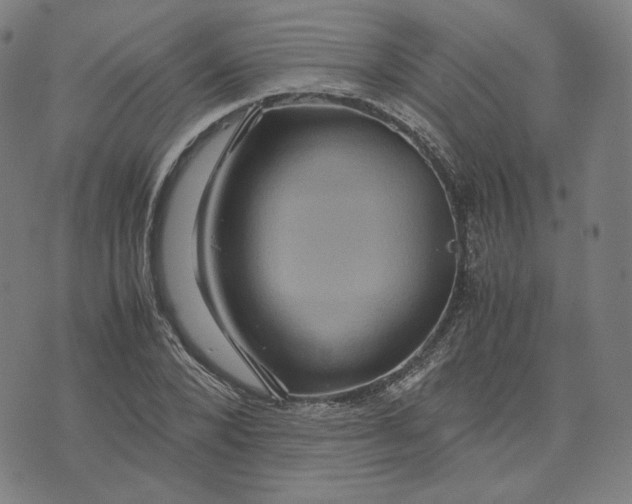 X0000071790880200607211619