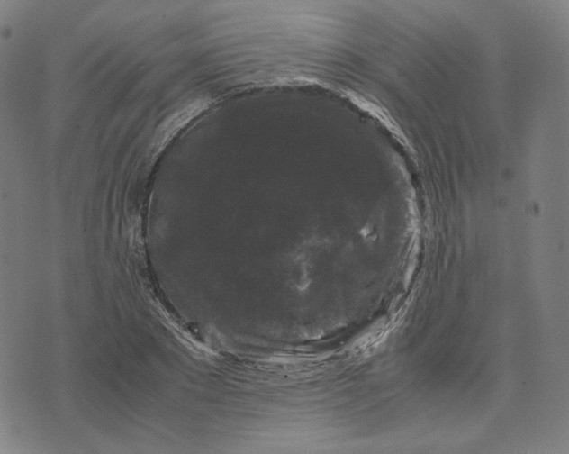 X0000071790881200607211619