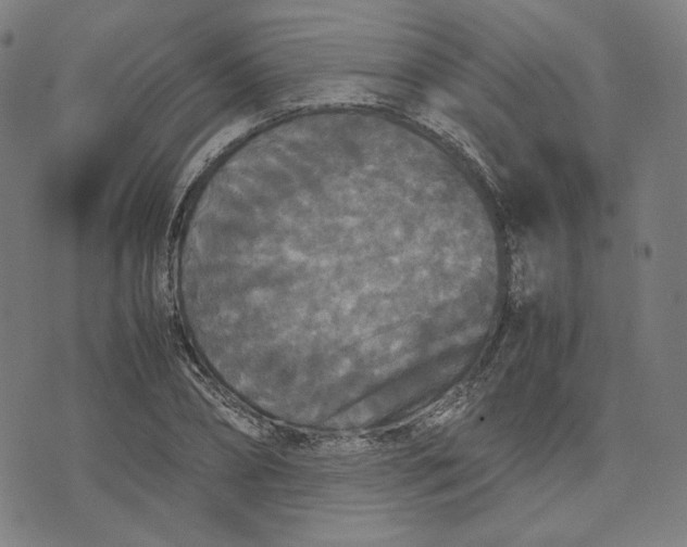 X0000071790882200607211619