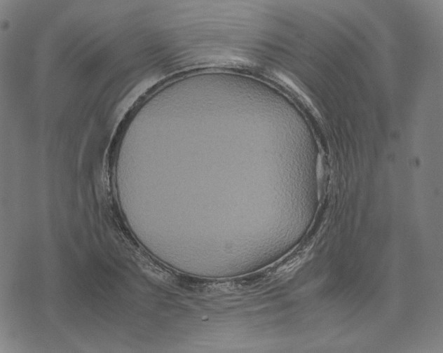 X0000071790883200607211619