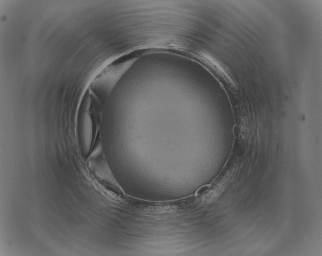 X0000071790884200607211619