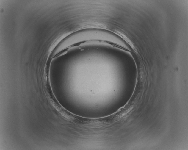 X0000071790885200607211619