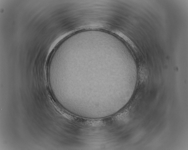 X0000071790886200607211619