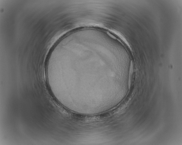 X0000071790887200607211619