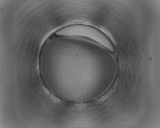 X0000071790888200607211619