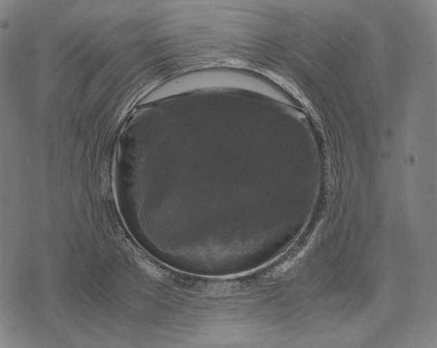 X0000071790889200607211619